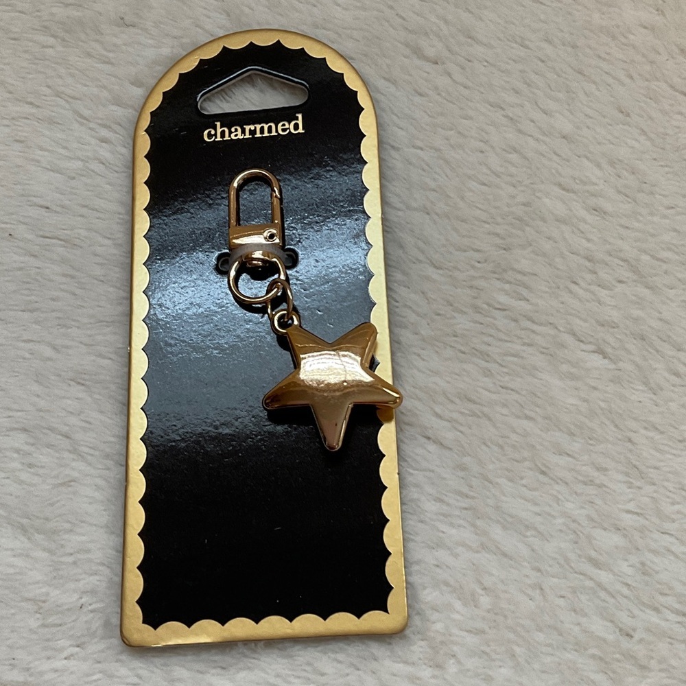 Charmed Gold Star Key Holder